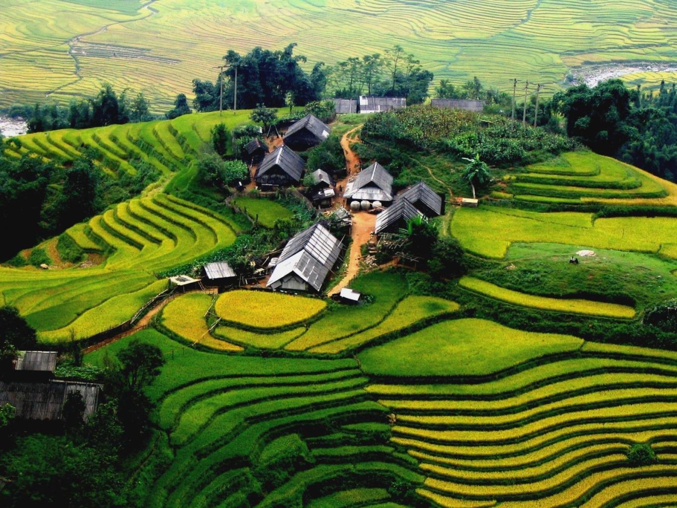 bg_image