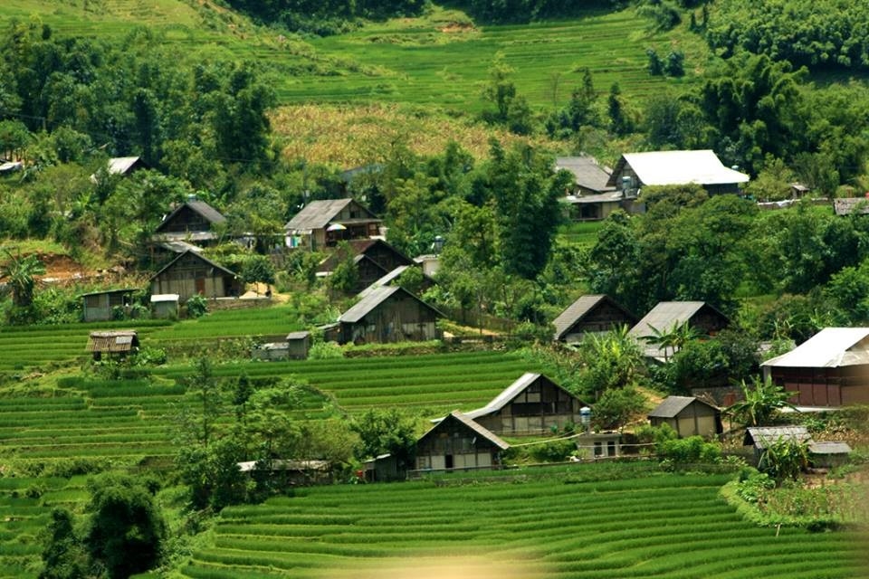 bg_image