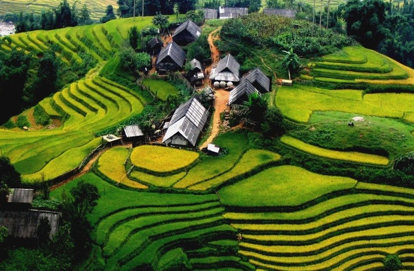 bg_image