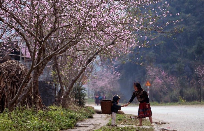 Vietnam Découvert