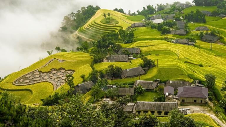 Randonnée à Hoang Su Phi