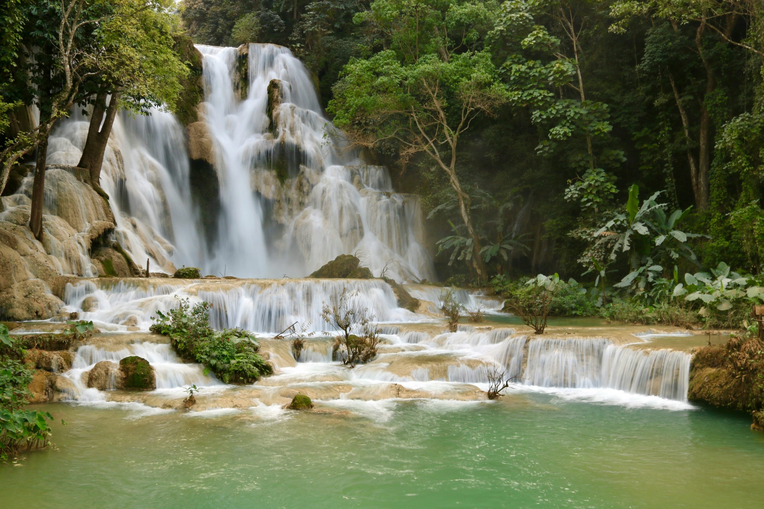 bg_image