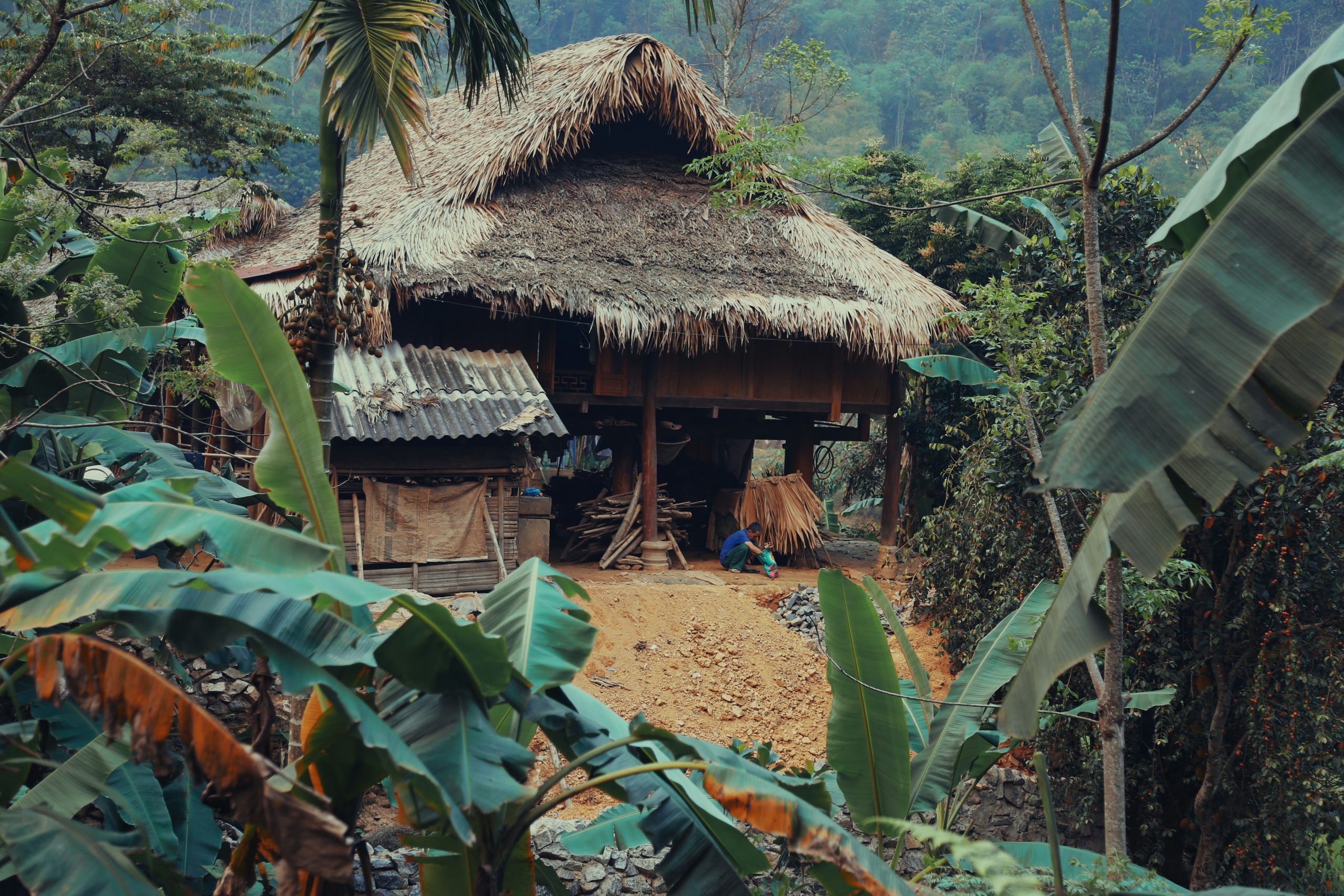 bg_image