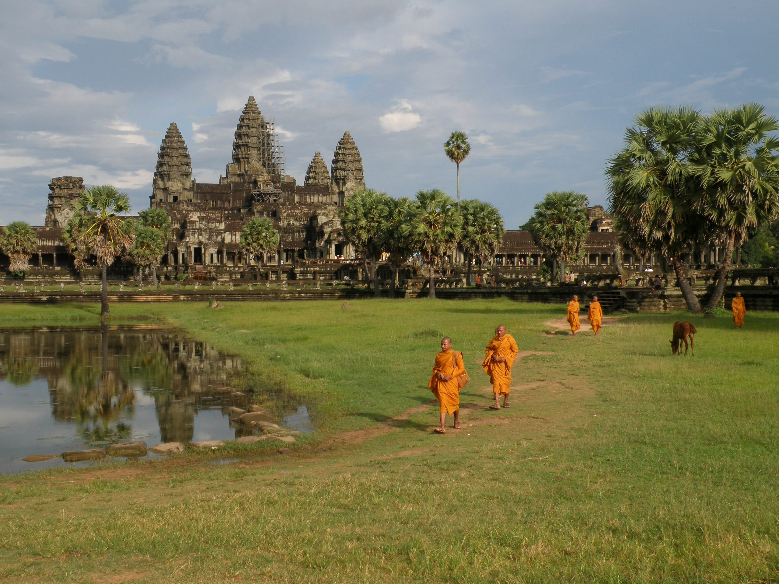 bg_image